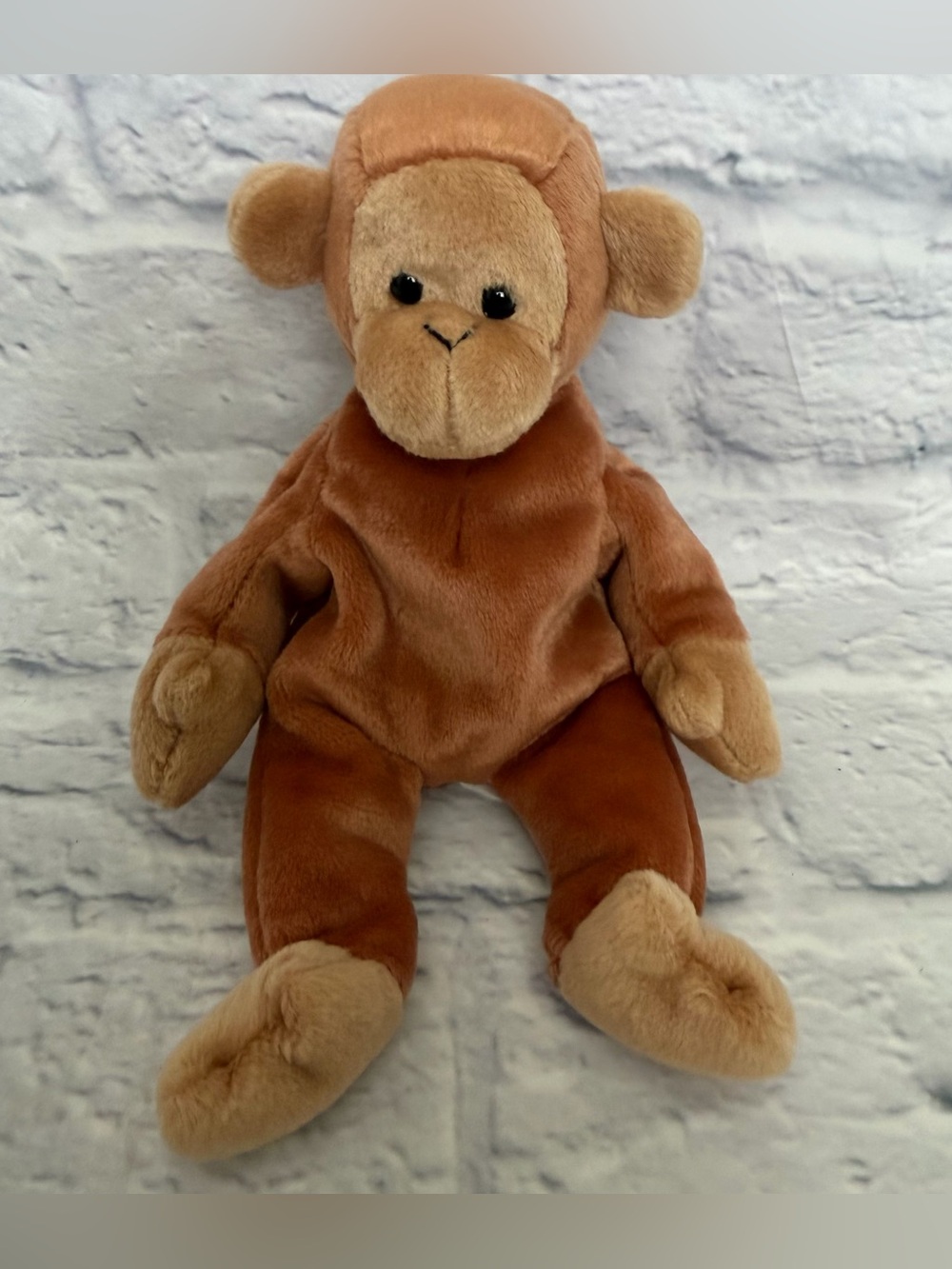 TY Beanie Baby - Bongo